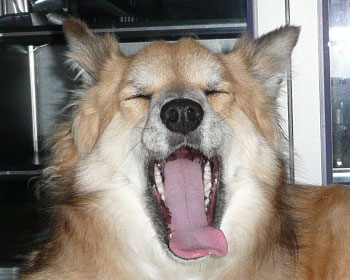 �����ɂ�����