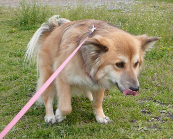 �`�[�����񂾂킯�ł͂Ȃ�