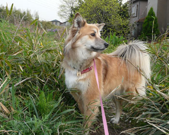 ���̓~�͑����肪�Â�����