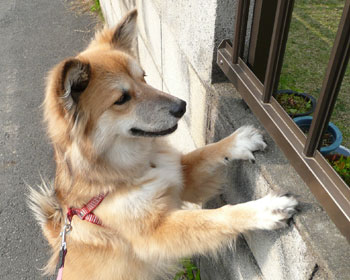 �����Ȃ��Ă�����Ƃ킩��