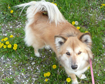 ����ڃ^���|�|�Ǝ�