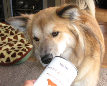 ���S���g���C���r�[�t�ʂ͂��܂���