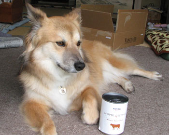 �����ς������Ă������