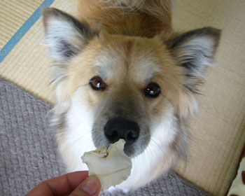 �����n�}�O���Ȃ񂾂���