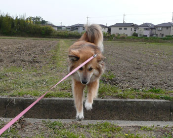 ������Ƃ�����ƁA���[�h���ז�����