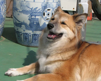 �Ȃ񂩏����Ċ炪�������