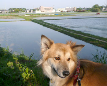 �g�̐U������l���Ȃ����