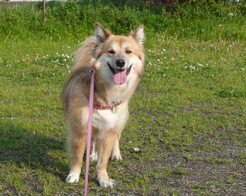 �������đ������Ĕ�ꂽ��