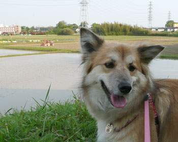 �����A�Ȃ񂩈����\��