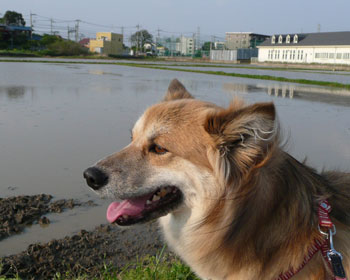 �Ƃ��Ƃ����̓�������Ă���