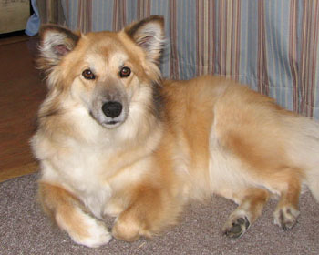 ���͔����肪����