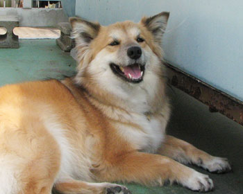 �U���̂��Ƃ͓��A�Ńn�q��