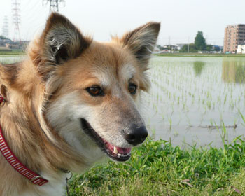 �c�A���͍ς񂾂�