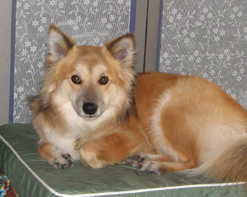 �w�i���ς������