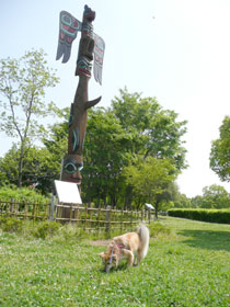 �܂������ʉ@�Ńg�[�e���|�[���Ǝ�