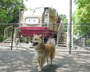 ������񂫂ʂ�����