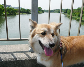 ���r��Ǝ�