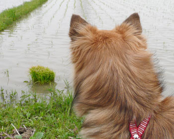 �����A�Ȃ񂩂�����肵�Ă�