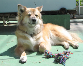 �I���`���������o���ċ�����