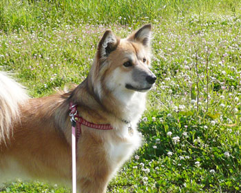 �n���Ȃ��Ԕ�