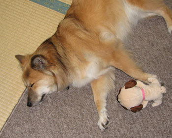 �Y���Q�����Ă�����