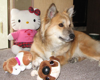 ���F�B�����ς��������