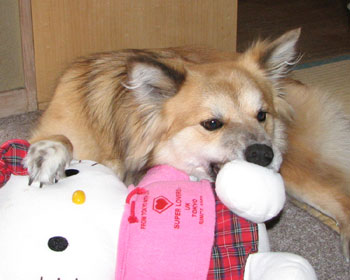 ���悭�V��