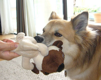 �����ς��Ă��`