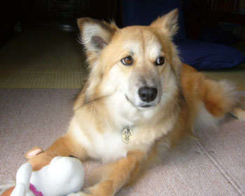 �����I�g�i������