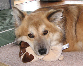 ��������ɋx�e