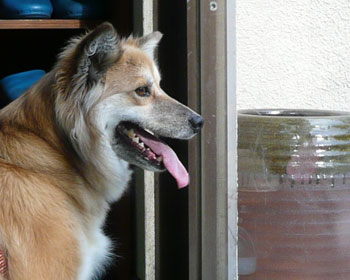 ��q��҂ԁA���x���A�낤�Ƃ���