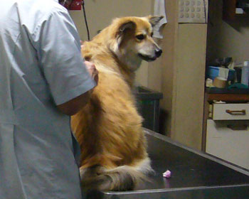 ���Ƀ��N�`����ł����