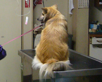 �������[�Ɋ���ė��������ɂȂ�