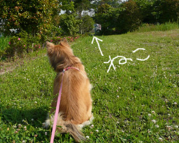 �L�������ē����Ȃ�