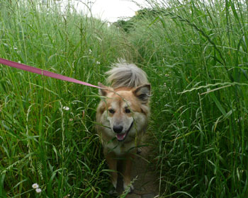 ��������ȂɃW�����O����