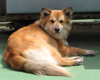 ��������������������