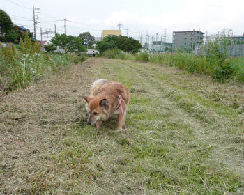 �����W�����O���������āA�J��L�O�̃`�[