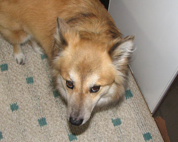 �䏊�ɂ����Ă���