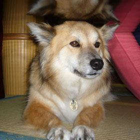 ������܂�����e�[�u�����ɔ��