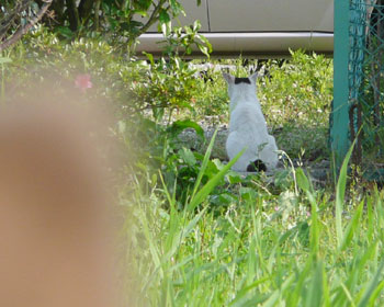 �҂��ĂĂ���Ă�݂���