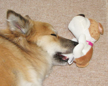 ���悭�Q��