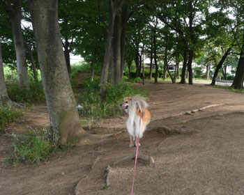 �B��̓��A�̓I�A�V�X