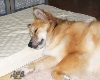 �����Ɩ���