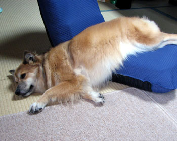 �Ă͗����₷��