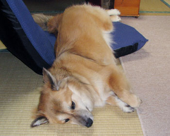 ���肸��E�E�E