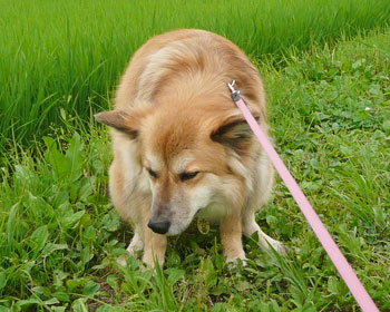 ����E�E�E