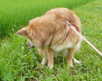 ���N�`�F�b�N