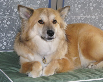 ����т��������炵����