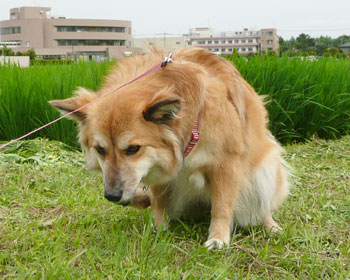 �`�F�b�N�ς݂̈��