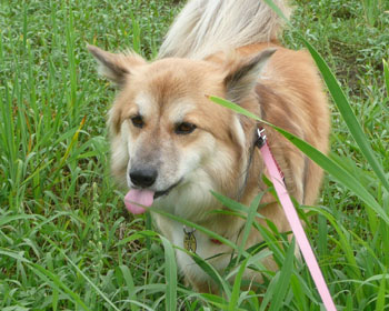 �����̑��͐V�N�Ȃ̂�